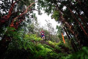 BIB: 
                            <button type="button" onclick="openModal(26203038)" class="btn btn-primary btn-sm float-right btn-popup" data-toggle="modal" data-target=".modal-high-quality">
                        <i class="fas fa-shopping-cart"></i> Add to Cart
                    </button>
                                            <button type="button" onclick="isThisMe(26203038, true)" class="btn btn-success btn-sm float-right btn-popup btn-isme hidden" data-toggle="tooltip" data-placement="bottom" title="นี่คือรูปของคุณใช่ไหม คลิกที่นี่เพื่อเอาเข้าอัลบั้ม">
                        <i class="fas fa-plus"></i> Add to album
                    </button>
                    <button type="button" onclick="isThisMe(26203038, false)" class="btn btn-warning btn-sm float-right btn-popup btn-isnotme hidden">
                        <i class="fas fa-ban"></i> Remove from album
                    </button>